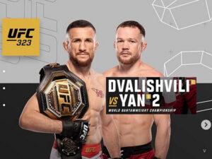 Merab Dvalishvili vs. Yan