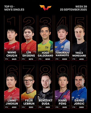 top men tennis table