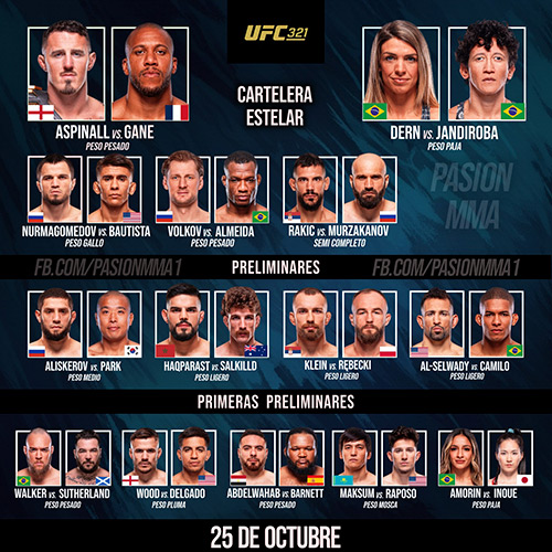 UFC 321