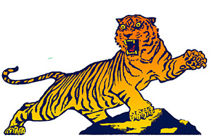Bálsamo de Tigre