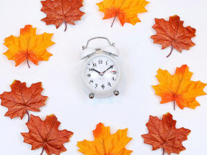 reloj rodeado hojas de árbol