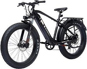 Bodywel D6 Bicicleta Eléctrica