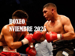 COMBATES DE BOXEO - NOVIEMBRE 2025