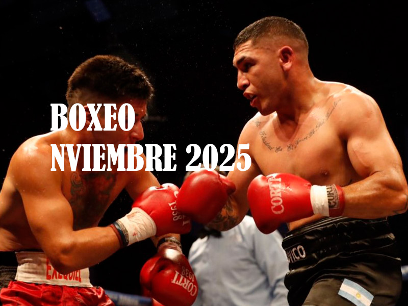 COMBATES DE BOXEO - NOVIEMBRE 2025