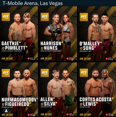 UFC 324