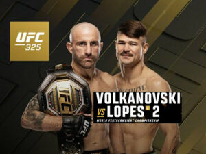 UFC 325