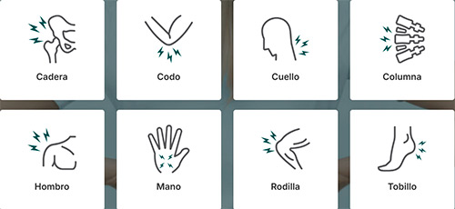 partes del cuerpo