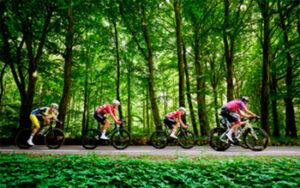 ciclismo